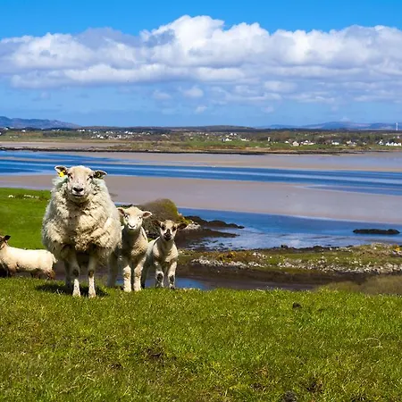 فندق آبي دونيجال Donegal Town
